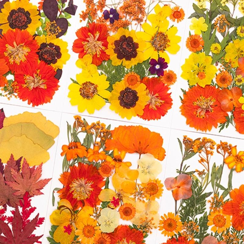 Art Craft With Leaves - Flor prensada seca para moldes resina,